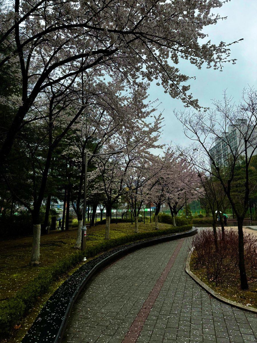 pdlr ♦️ 🔪 ⏳ 🎼 🔱 tweet media