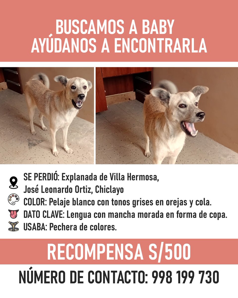 Mike Niken tweet media