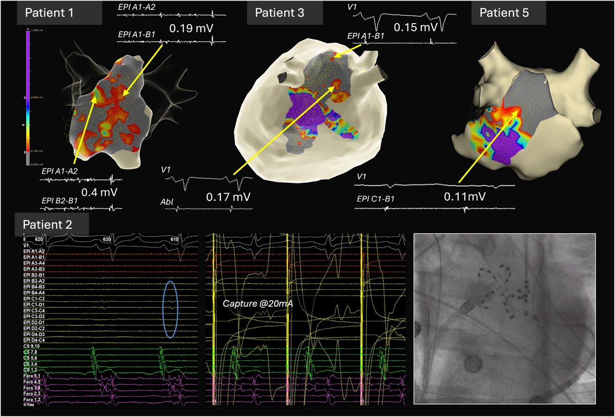 Sandeep Gautam tweet media