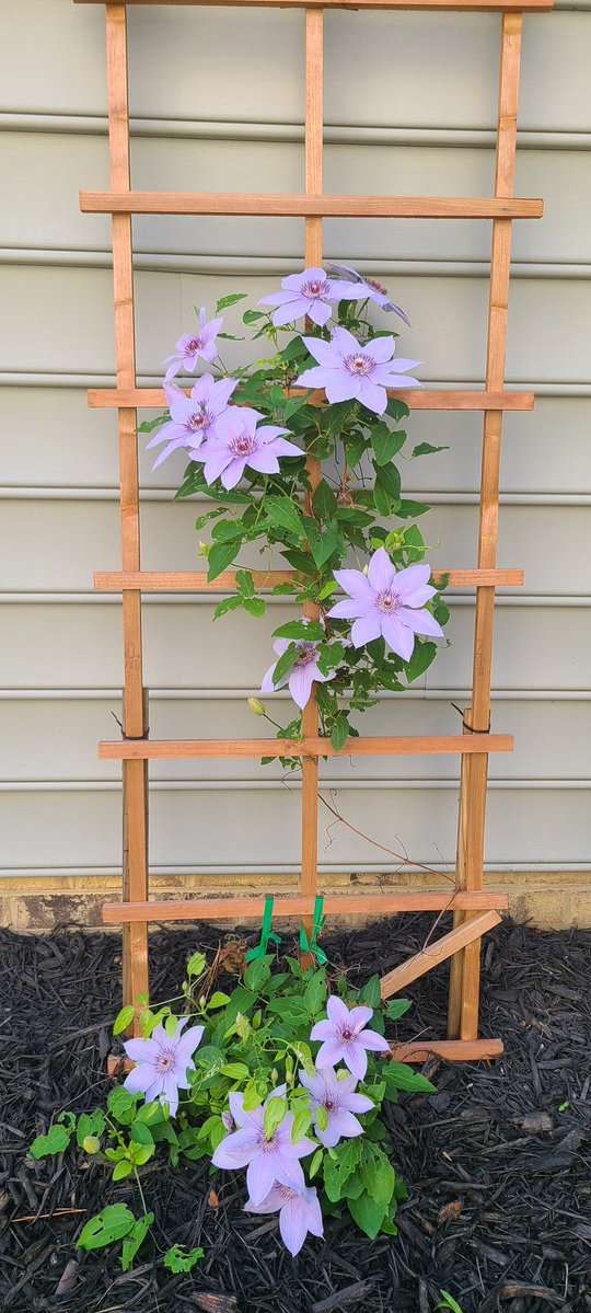 Jody is grateful tweet media