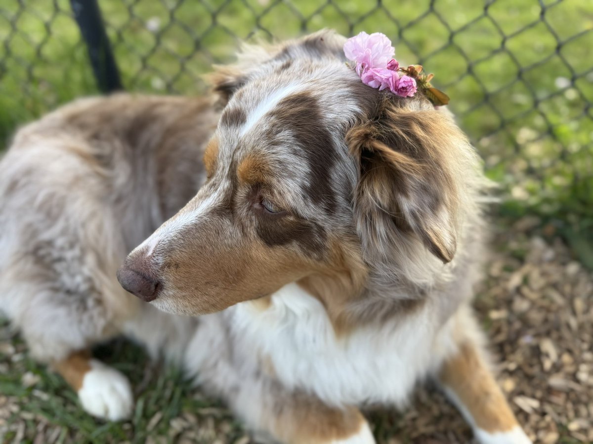 mamee🇺🇸 tweet media