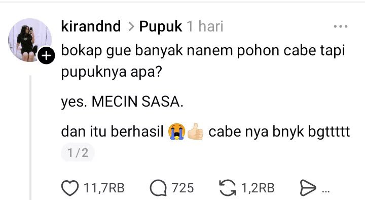 nadtzy tweet media
