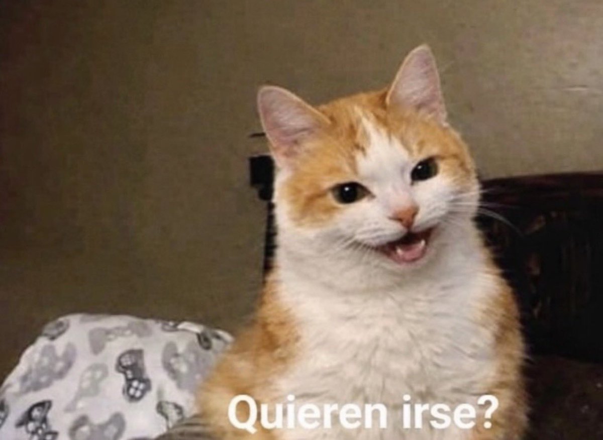 El Guarromántico tweet media