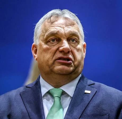 Chidi Anselm Odinkalu, CGoF tweet media