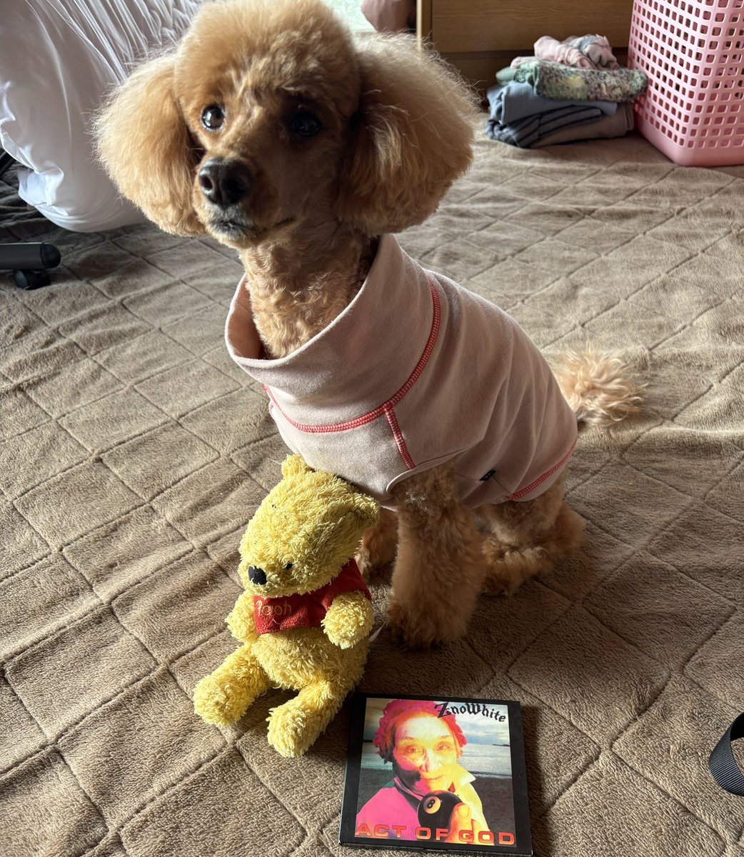 toshinori mitsunaga tweet media