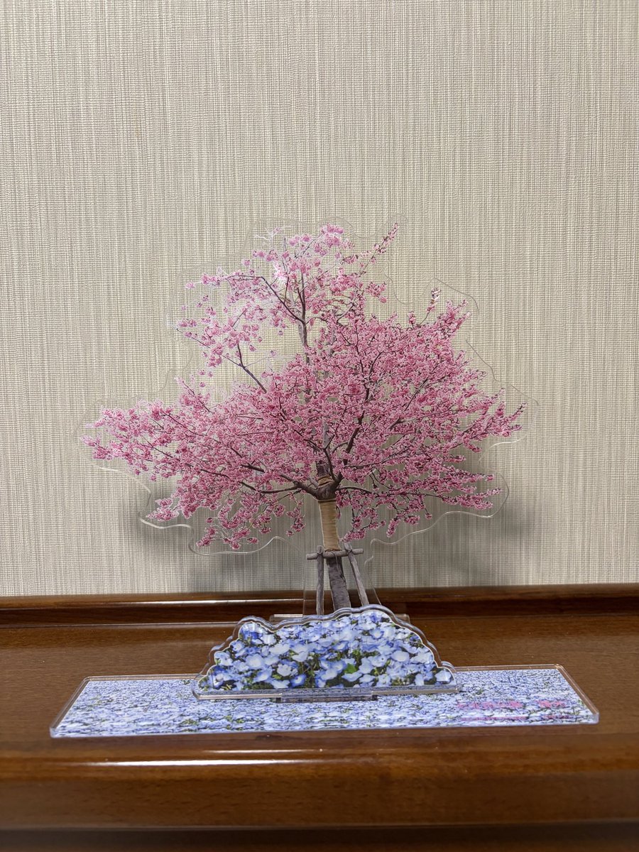 ゆづ桜アクスタ🌸 土曜日、午後から350個の入荷 並んで買ってくれ、夜