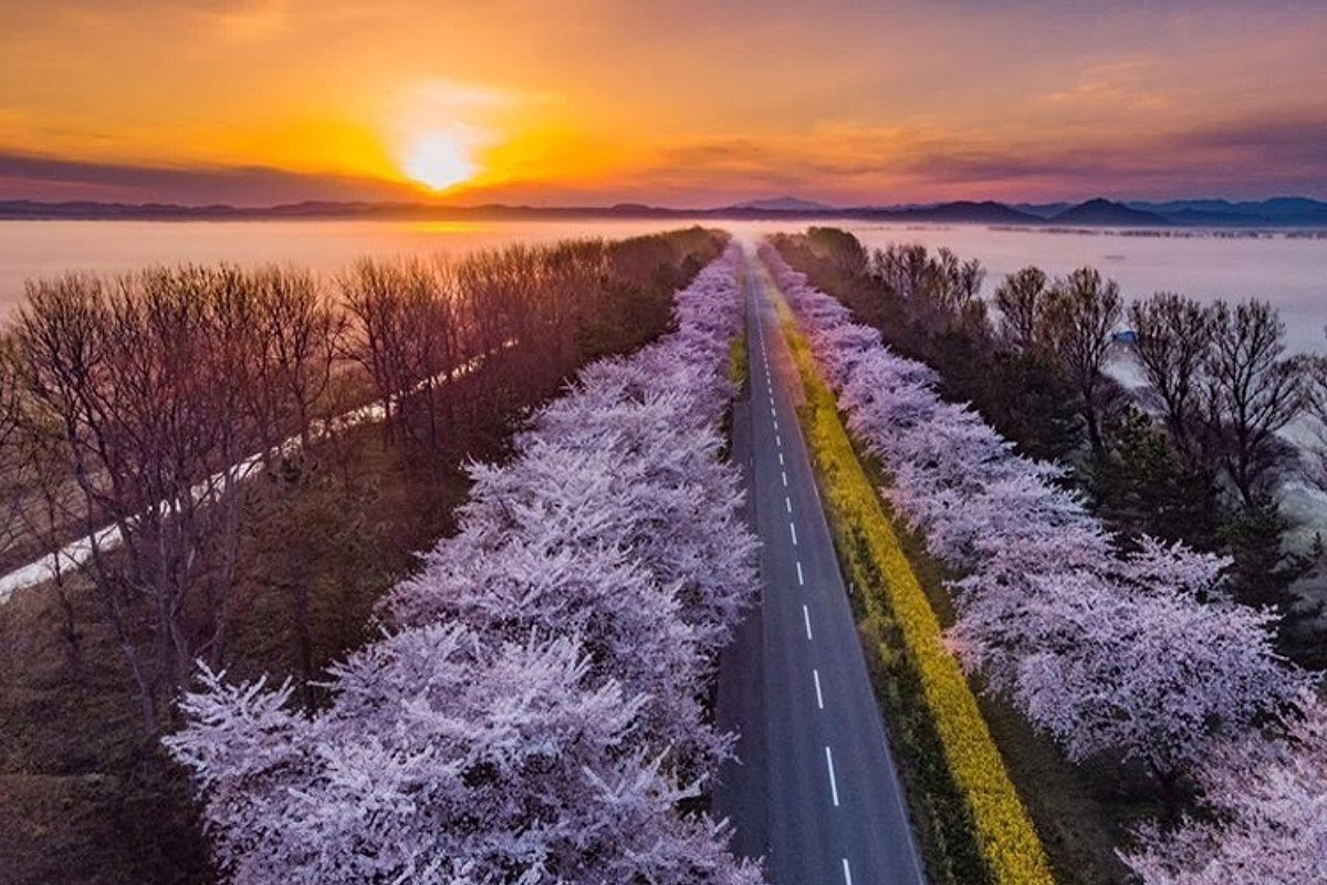 （株）むう企画【公式】 tweet media