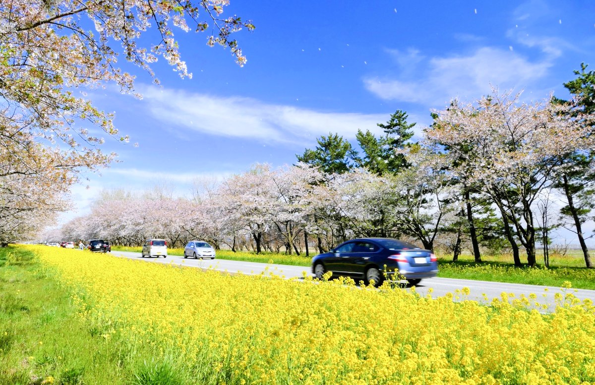 （株）むう企画【公式】 tweet media