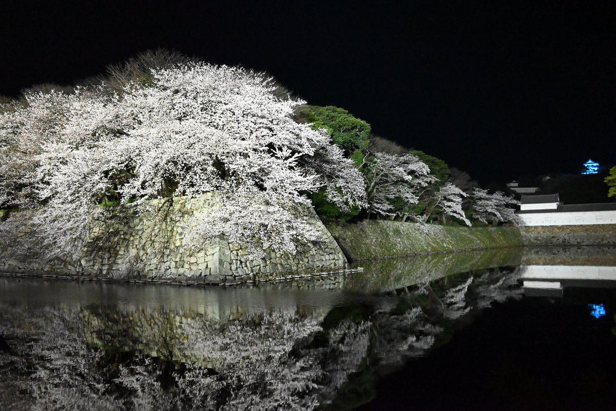 石 平 (参議院議員、中国から制裁を受けた国会議員第一号) tweet media
