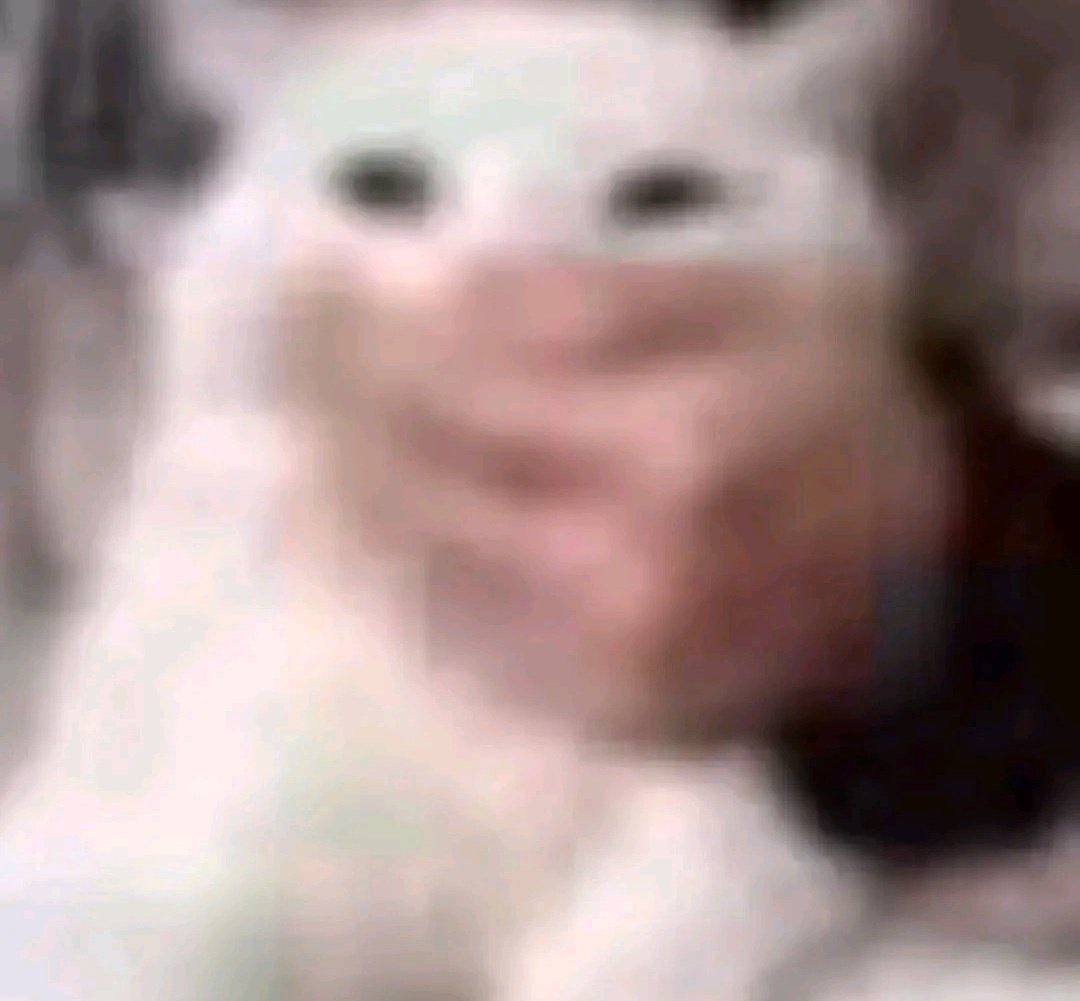 mist 🗯️ tweet media