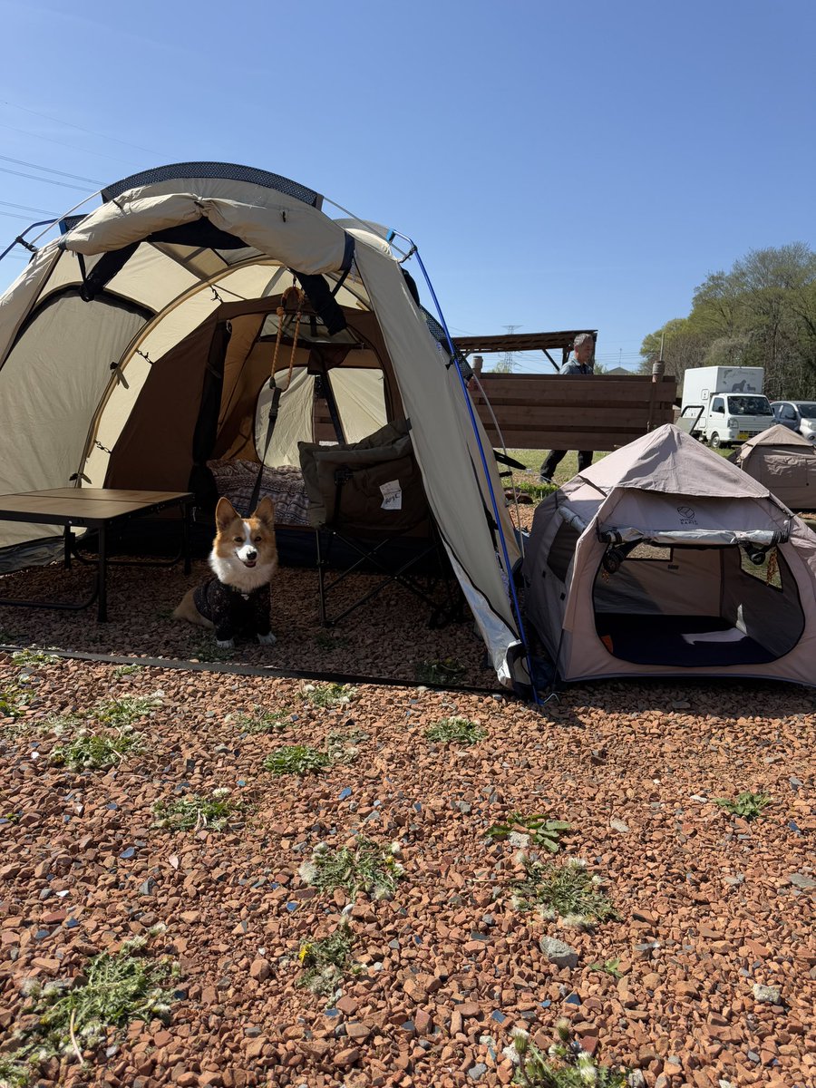 ちょびと陸遜と凛太郎と朱凛 tweet media