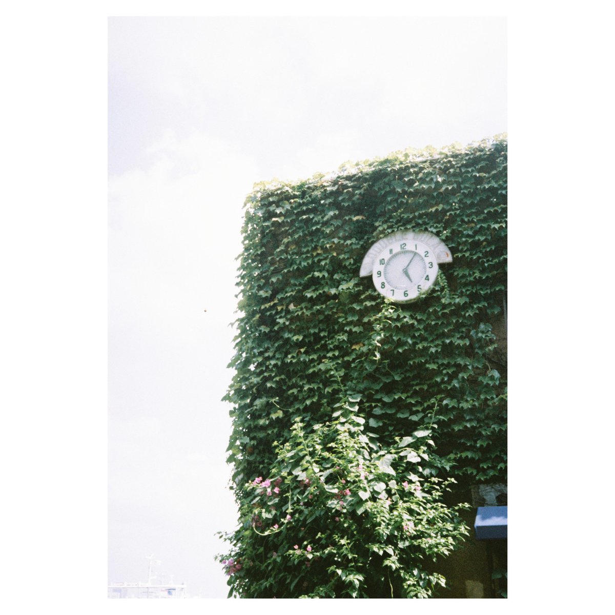 uy_artlife's tweet image. Morning Monday.
📷 Rollei 35S
#フィルムカメラ #Rollei35