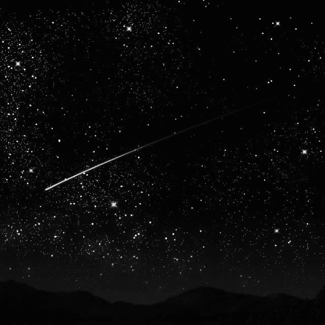 Stargirl tweet media