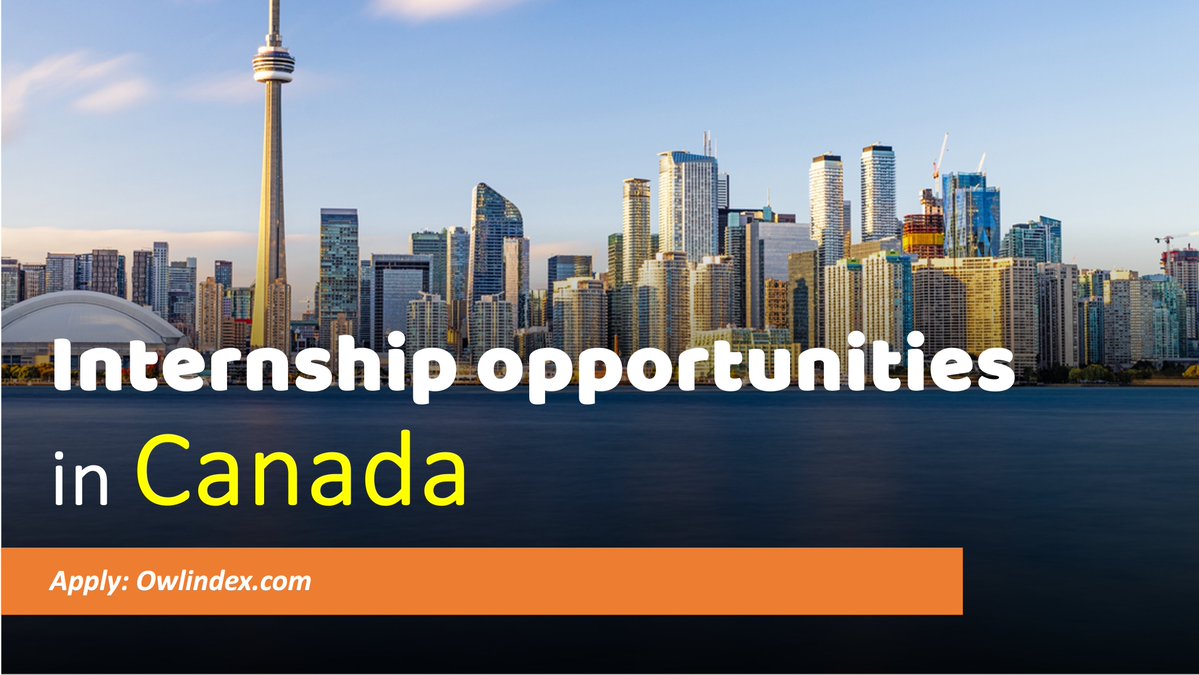 Owlindex tweet media