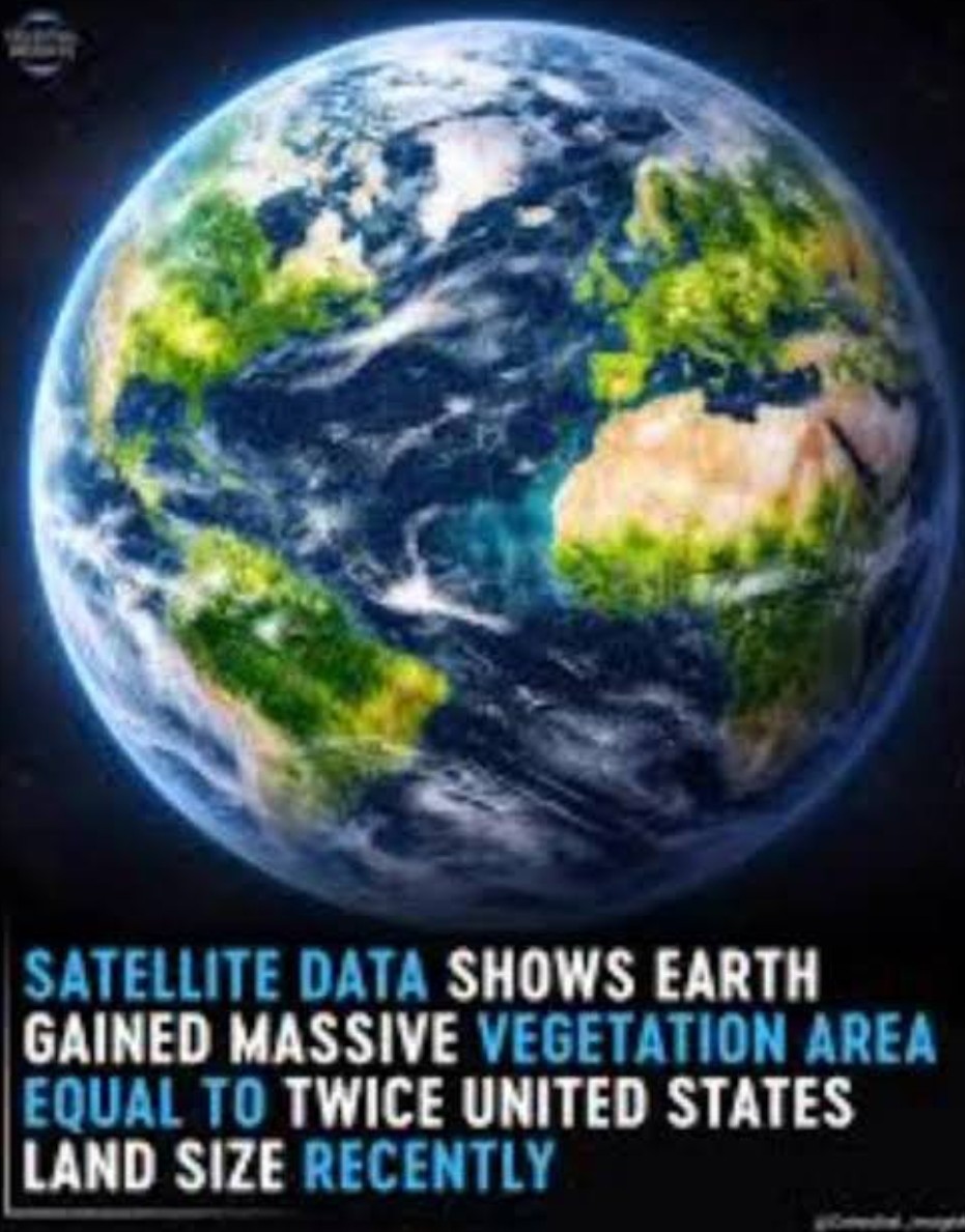 Peter Clack tweet media