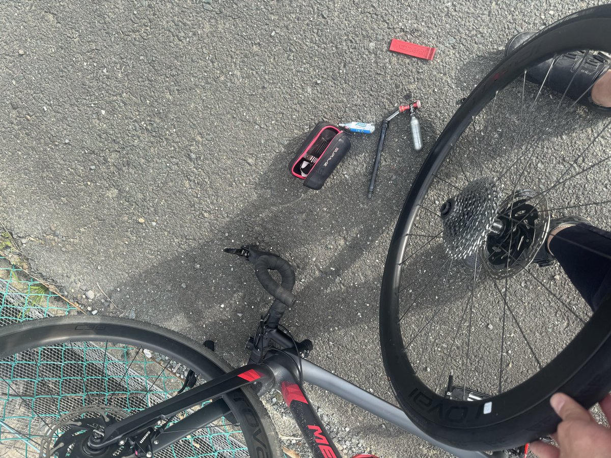 きゅーと tweet media