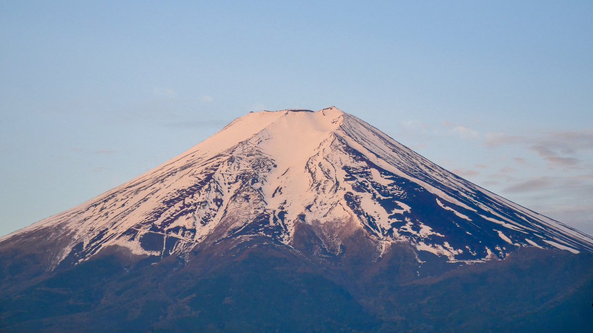 小柴雪 tweet media