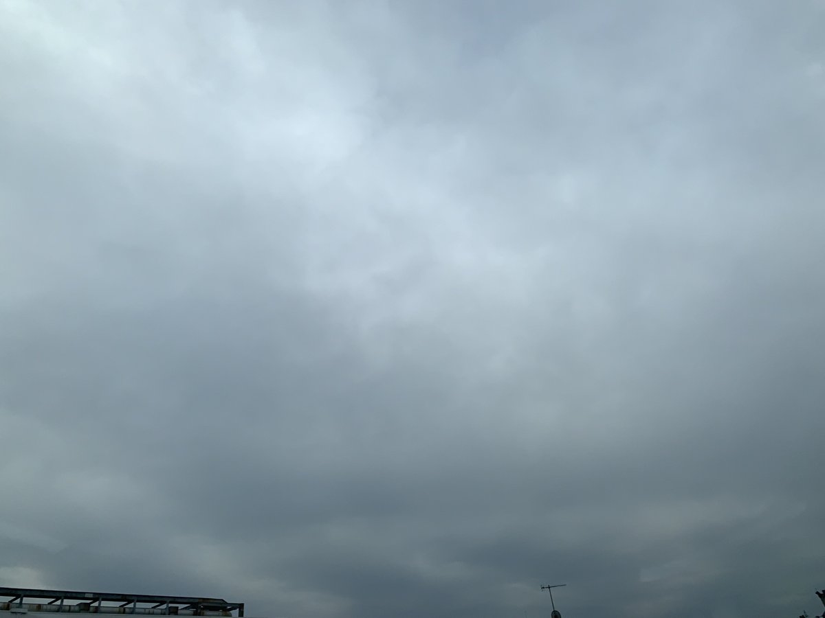 まるも🐼（🍀の中のひと） tweet media