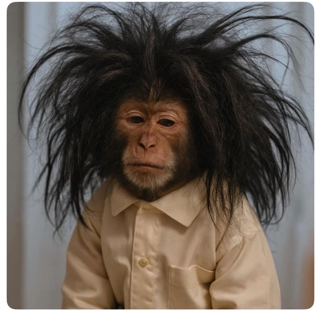 Sammie 😎 tweet media