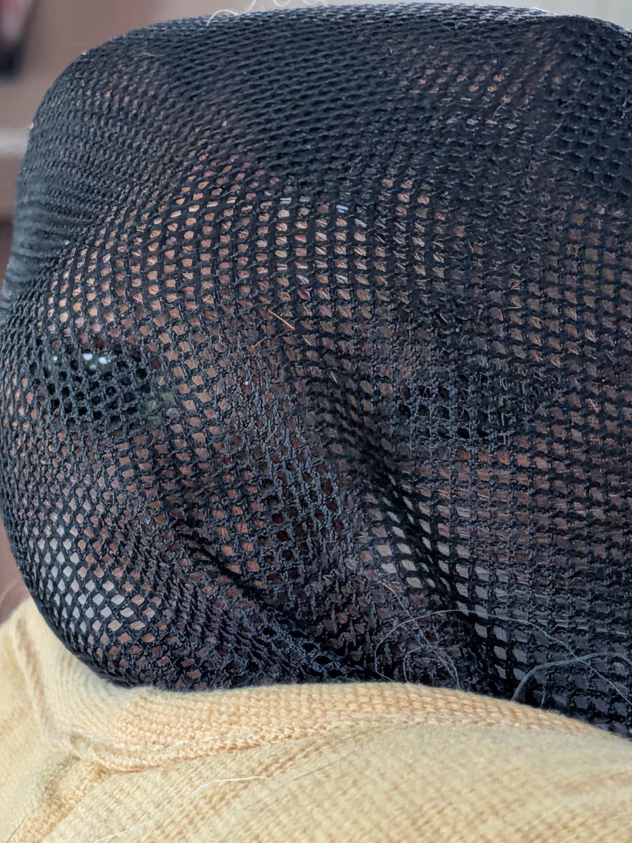 柴犬スティーブch【ｺｰｷﾞｰと猫を添えて】@YouTube tweet media