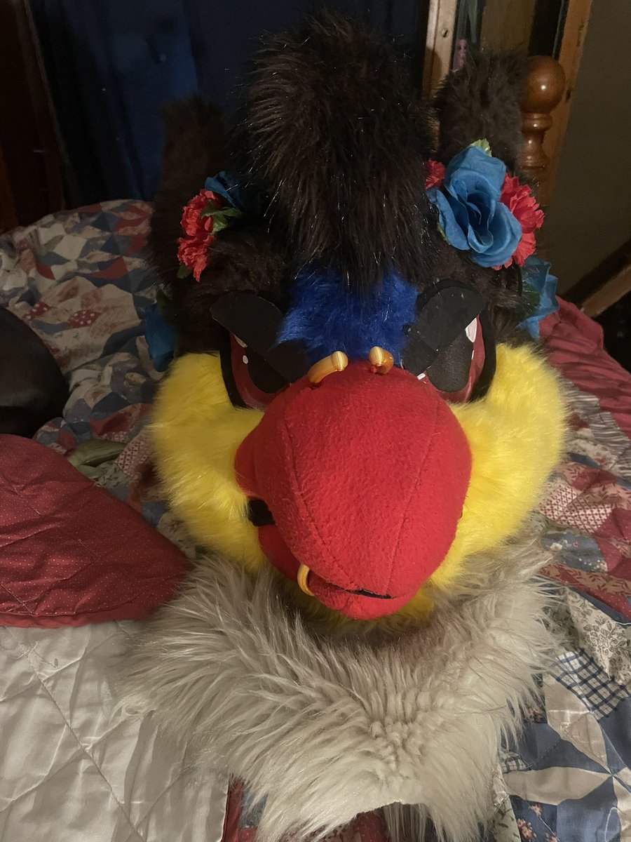 heavyn 🦜🔞🔜 fwa tweet media