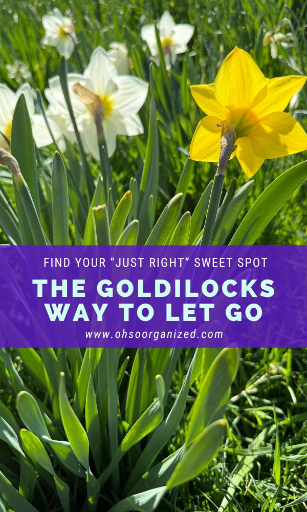 LindaSamuels's tweet image. 🛎️Are you struggling to let go? Discover how the Goldilocks approach will help you align your letting go decisions with who you are now. 

🔗Learn more:  ohsoorganized.com/blog/how-to-le…

#letgo #calm #clarity #organization