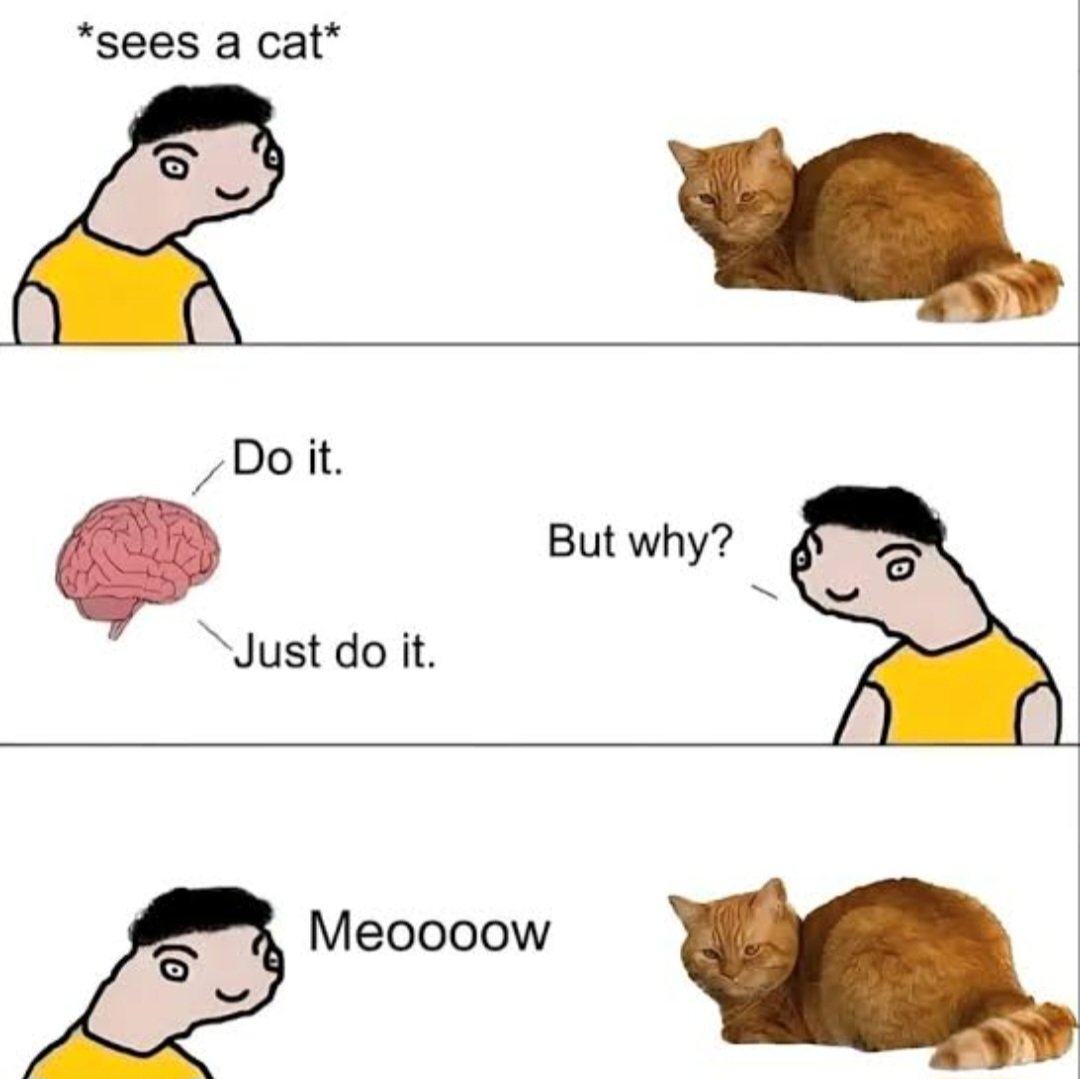 NumetalDialectic tweet media