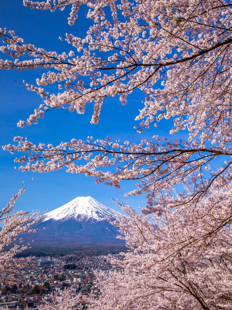 早水健一 tweet media