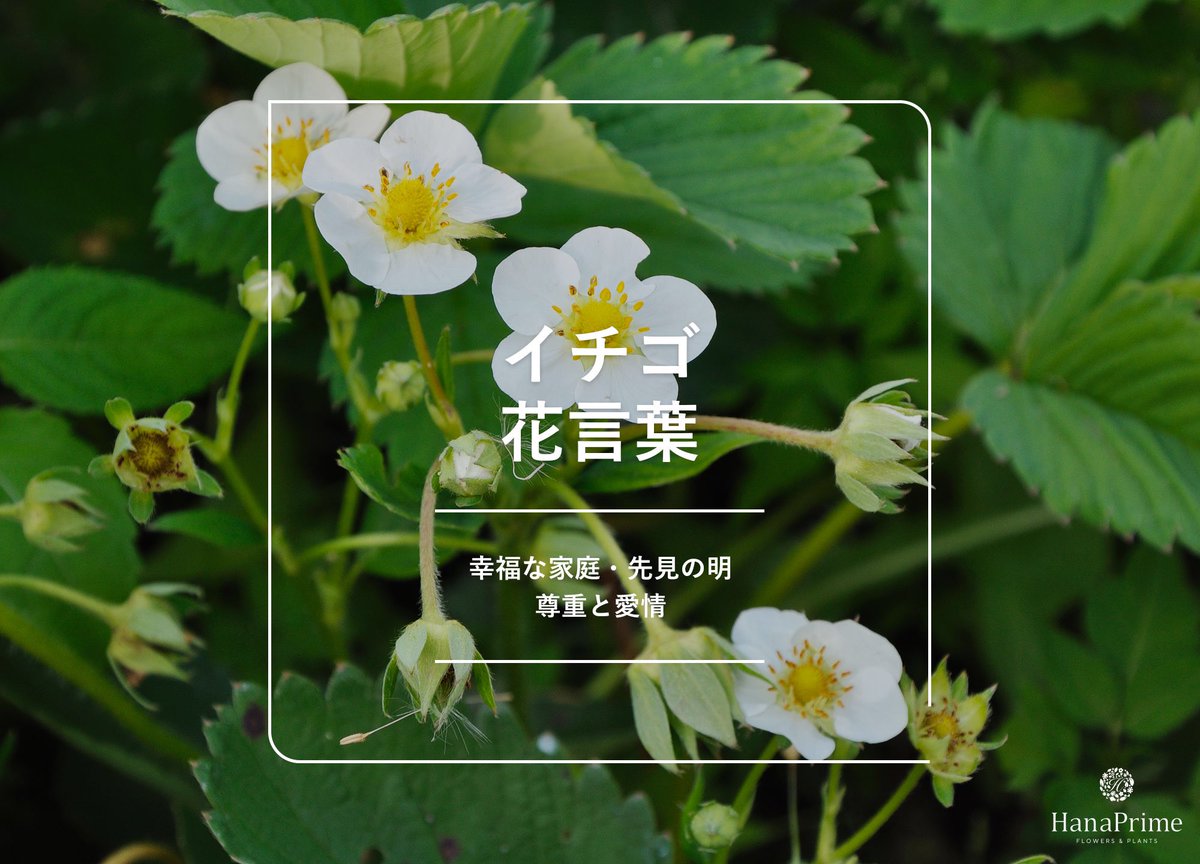98t_nt's tweet photo. おはようございます　2026年4月13日月曜日18℃\23℃曇
『喫茶店の日』1888(明治21)年4月13日、上野（🗼東京都）に日本初の本格的な「可否茶館」がオープンした事にちなみ記念日が設けられています。当時、珈琲は“ハイカラな飲み物“として特権階級の人々の間で人気で、また、可否茶館の造りが一階ビリヤード🎱2階喫茶店の洋館だったこともあり「遊べる大人の娯楽場として話題を呼びました。この時珈琲１銭５厘席料1銭５厘3銭で珈琲を飲むだけに3銭は高いとのことで店への客足は伸びず珈琲自体もあまり受けいられなかった記録が残っているそうです。今週もよろしくお願いします。良い一日を