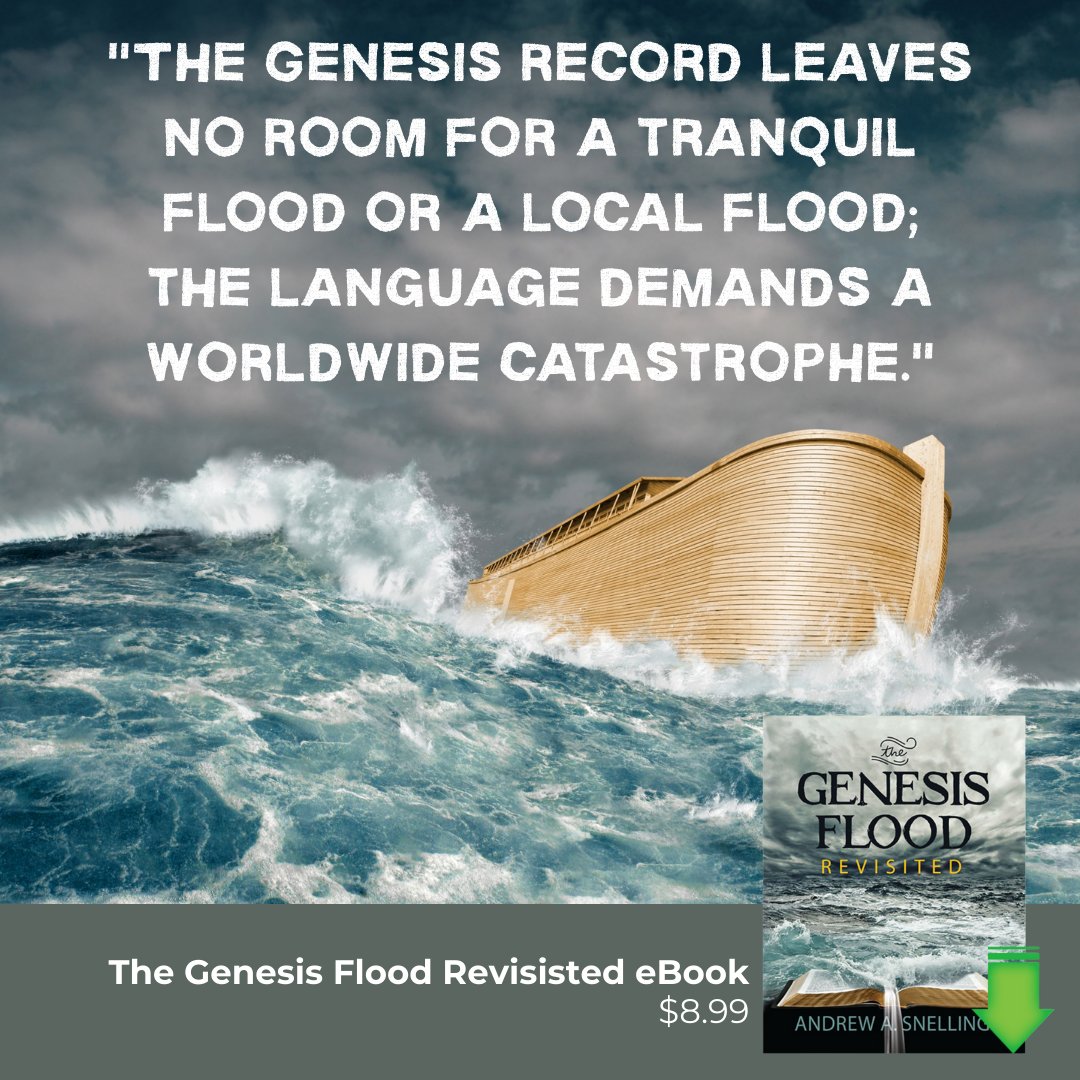 Creation Today tweet media