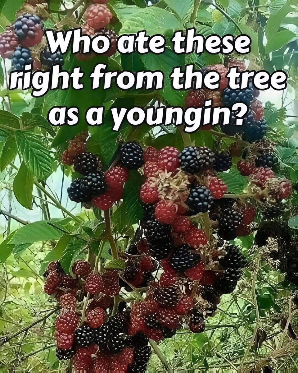 Ron wright tweet media