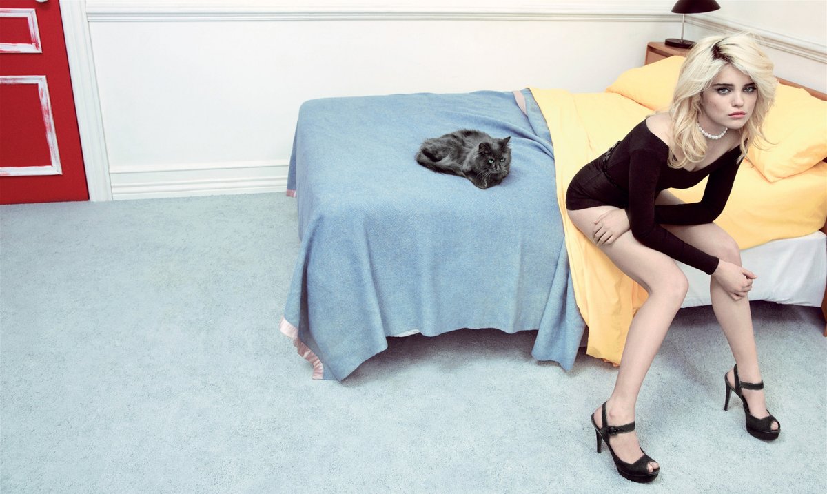 sky ferreira archive tweet media