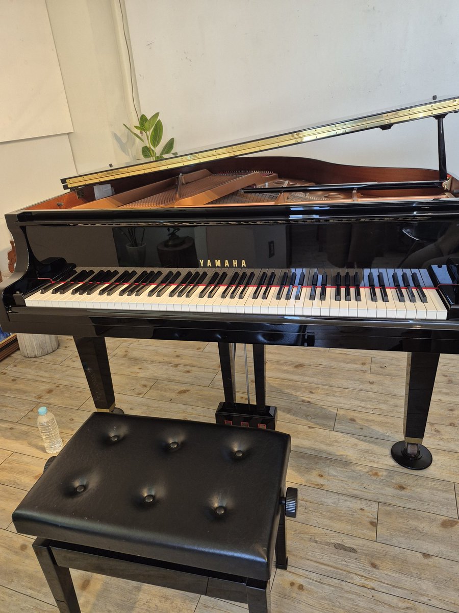 junmiho0831_'s tweet photo. #誉りみち　さんにピアノを聴きました🎹2026.4.11
#鈴木孝彦　さんが奏でる楽曲気持ち良くピアノと指の一体感凄かった✨️
曲と曲の繋ぎも素晴らしい🥳
あの楽曲ちょっと聴けて幸せ🍀
血流🎹は迫力満点✨️グリッサンド手元良く観ました👀
トーク楽しく笑いが😂
素晴らしい演奏ありがとう😊
#Retrieve https://t.co/7yC0tiJgDL