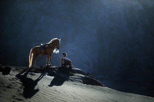 ‏هبه tweet media