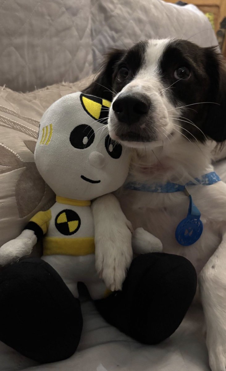 Samira Sagr Paraiba 💋 tweet media