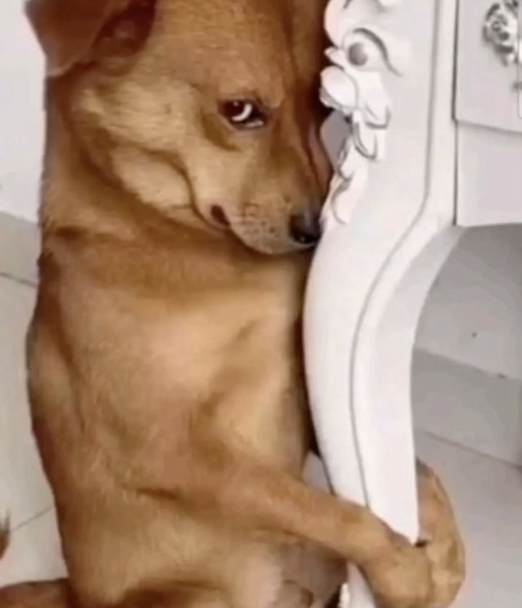 AnkaCihAl🐦‍🔥 tweet media