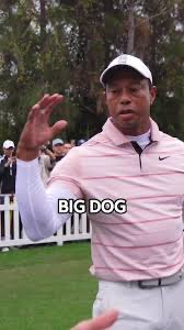asstasticMN's tweet photo. Tiger in rehab pretend big dawg’n Rory rn https://t.co/YR1GXyutFU