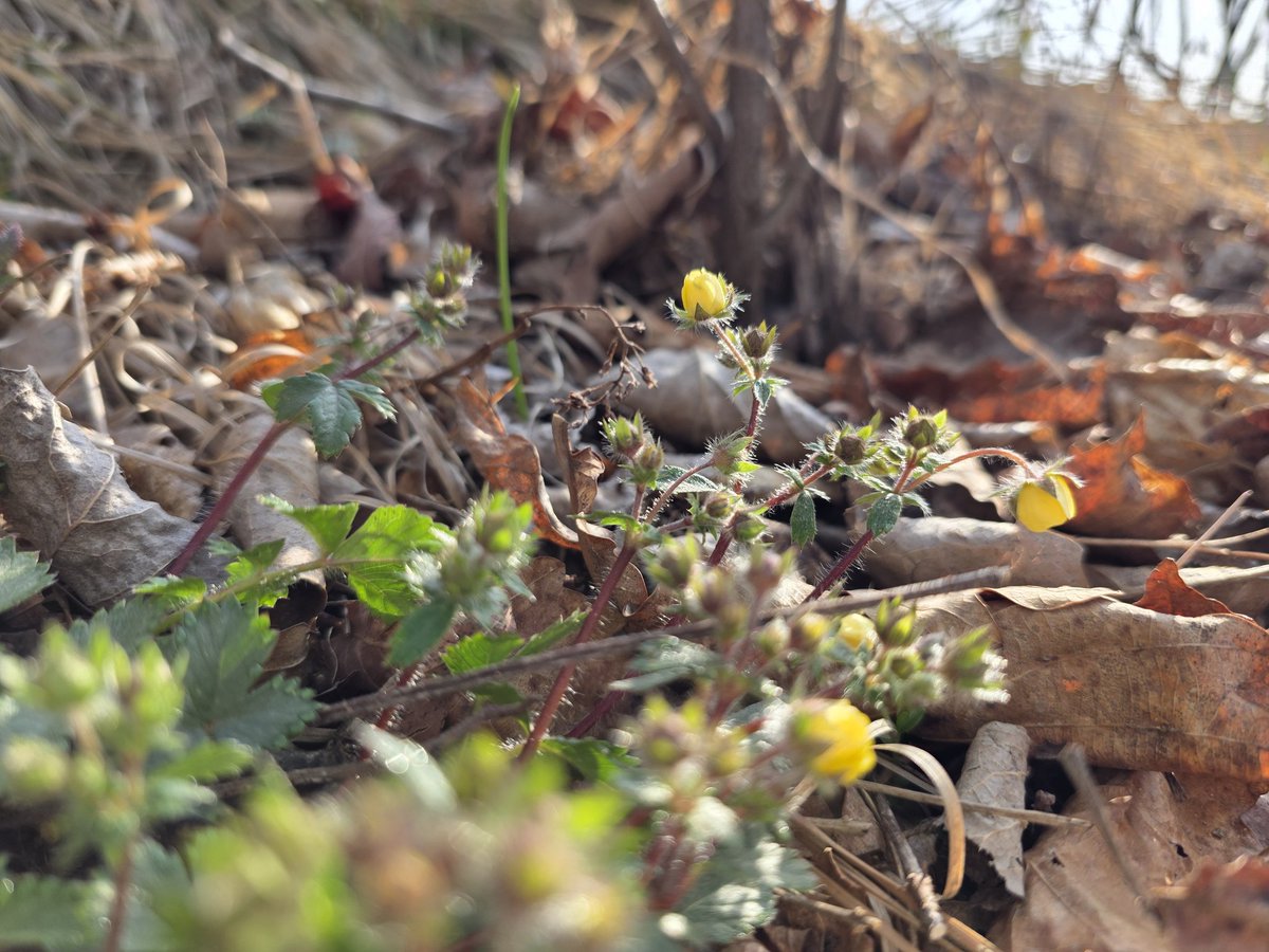 연  하 니 tweet media