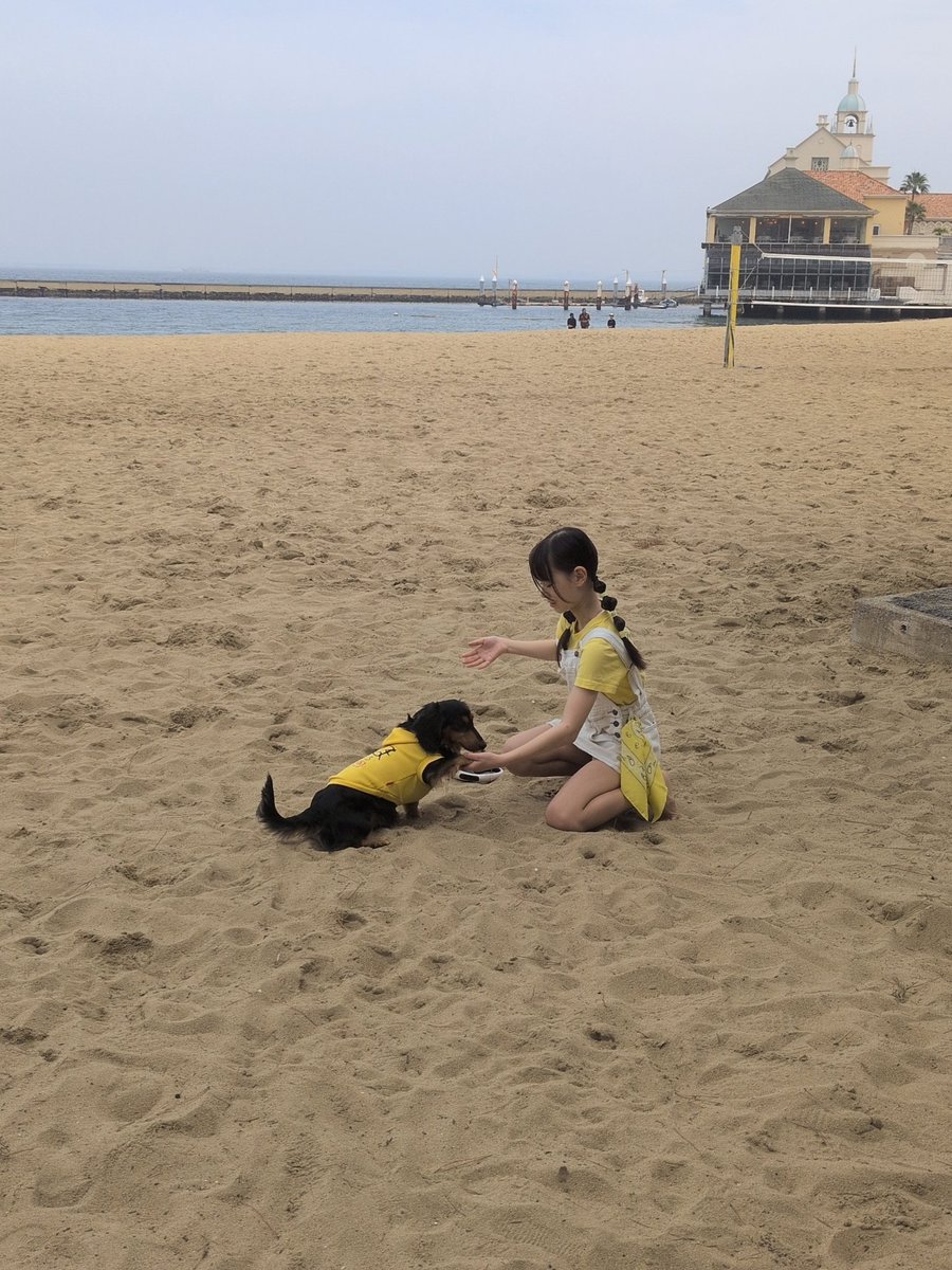 のんのん(花音)🧜‍♀💛MERCREW tweet media