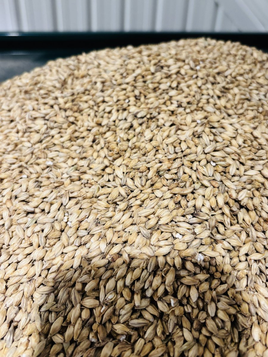 ディ・トリッパー蒸留所 tweet media