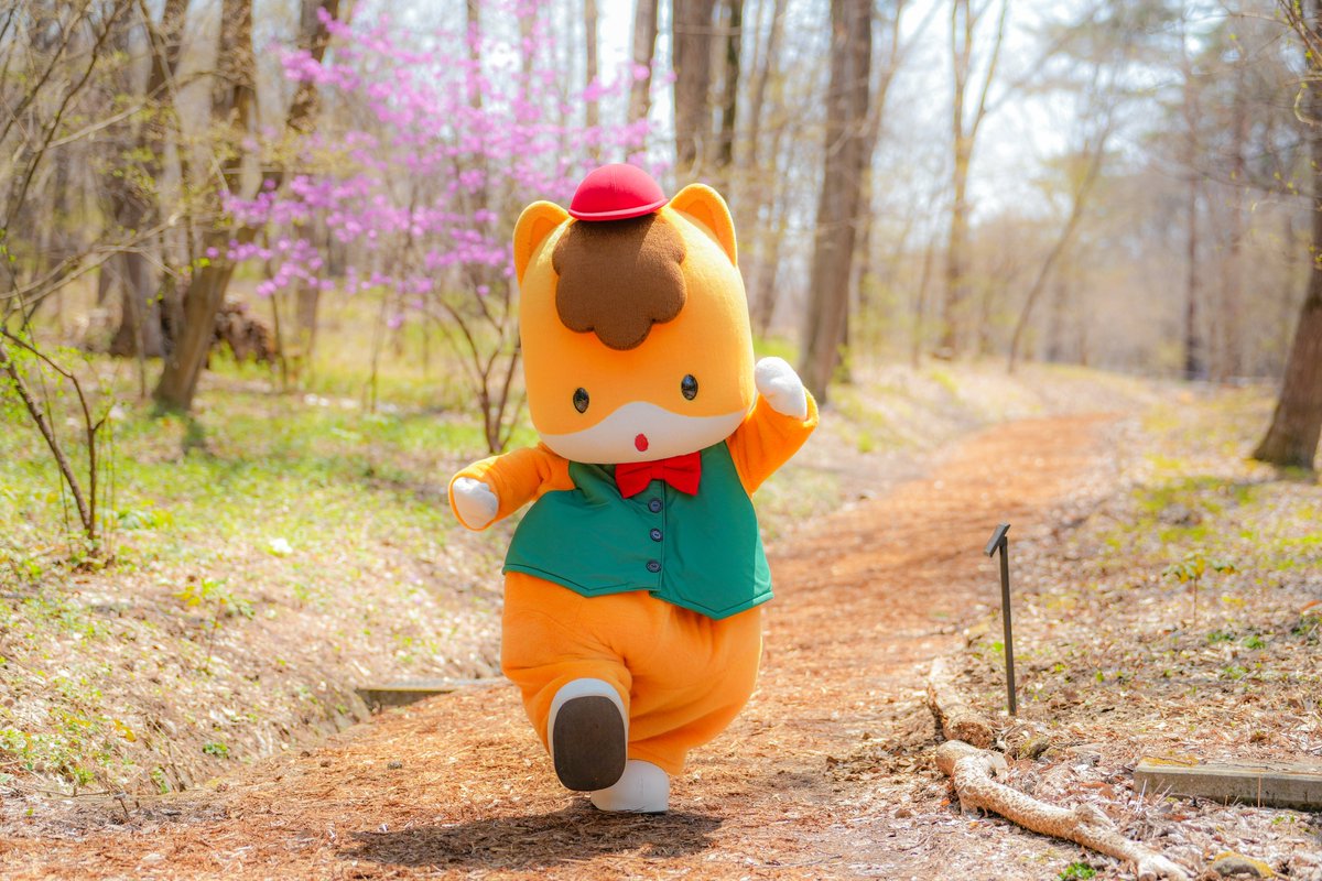 ぐんまちゃん tweet media