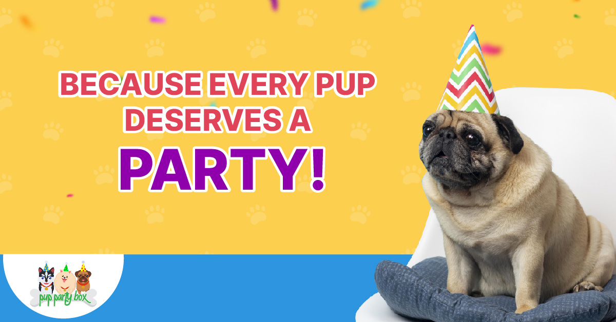PupPartyBox's tweet image. 🐶❤️ Because every pup deserves a party! 🥳🎈 Treat your furry friend to a monthly surprise with Pup Party Box. Sign up today and make every month a celebration! bit.ly/3uUFXuX  #PupPartyTime #SurpriseBox #PamperedPup