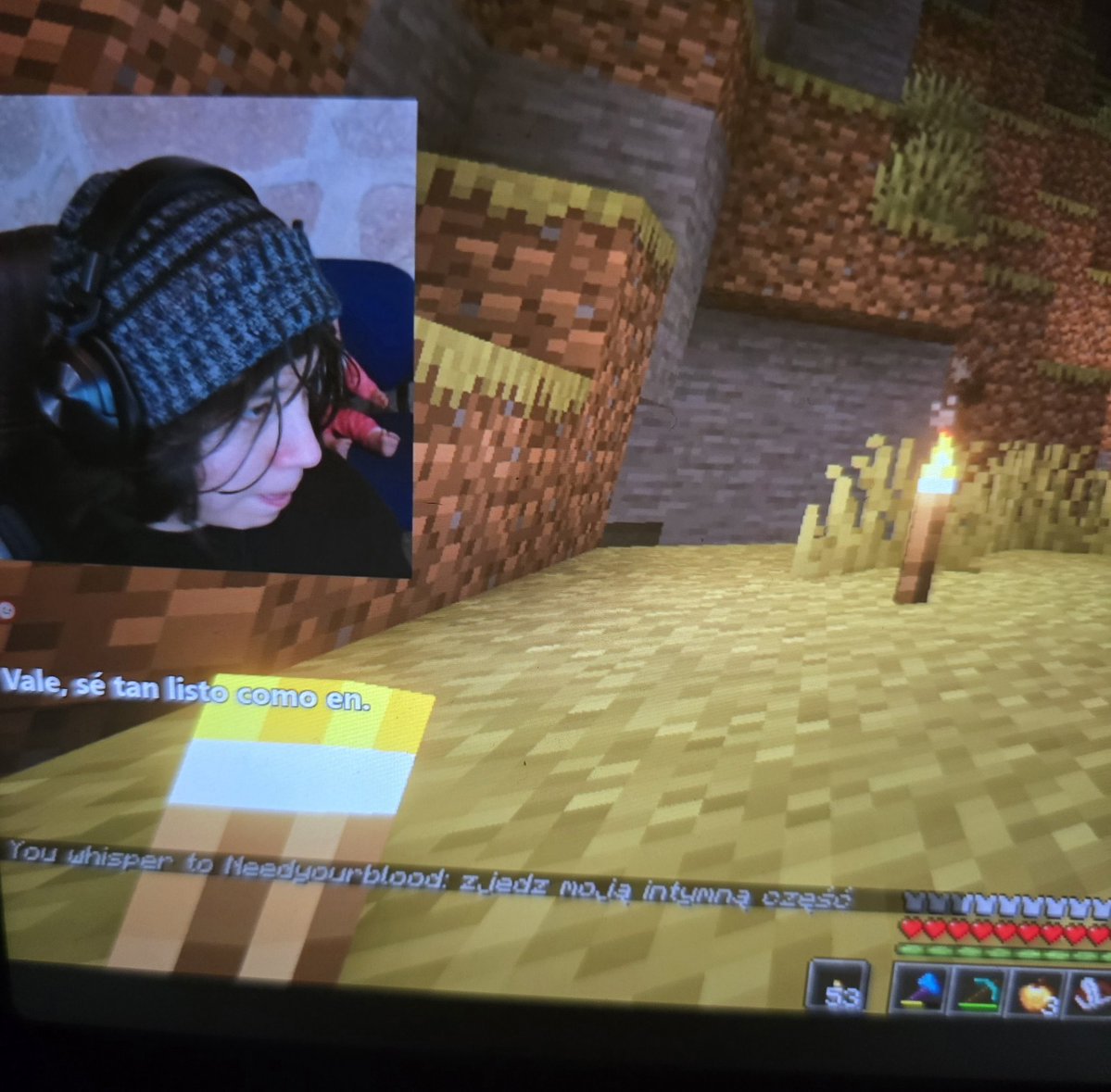 kluskaslaska5's tweet image. Quackity?😭😭 #qsmp2pl #qsmp2