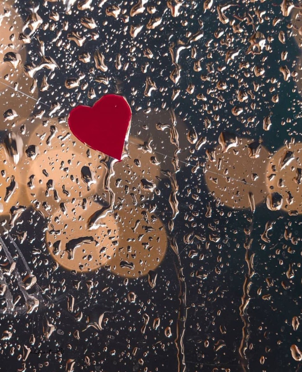 سين عين tweet media