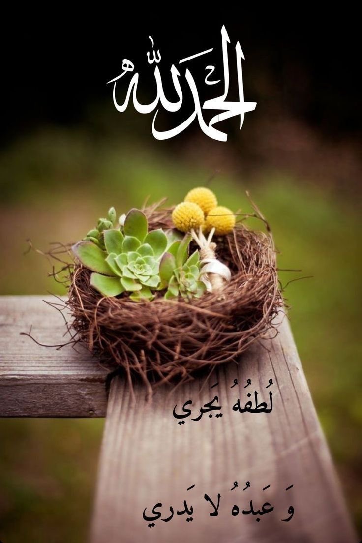 💛💙 м σ и α tweet media