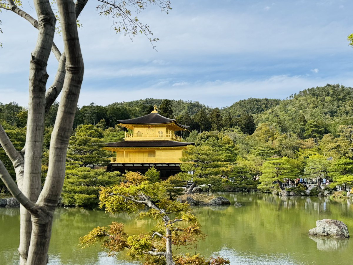 こおりあめ໒꒱.。 tweet media