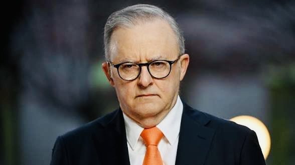 Megatron tweet media