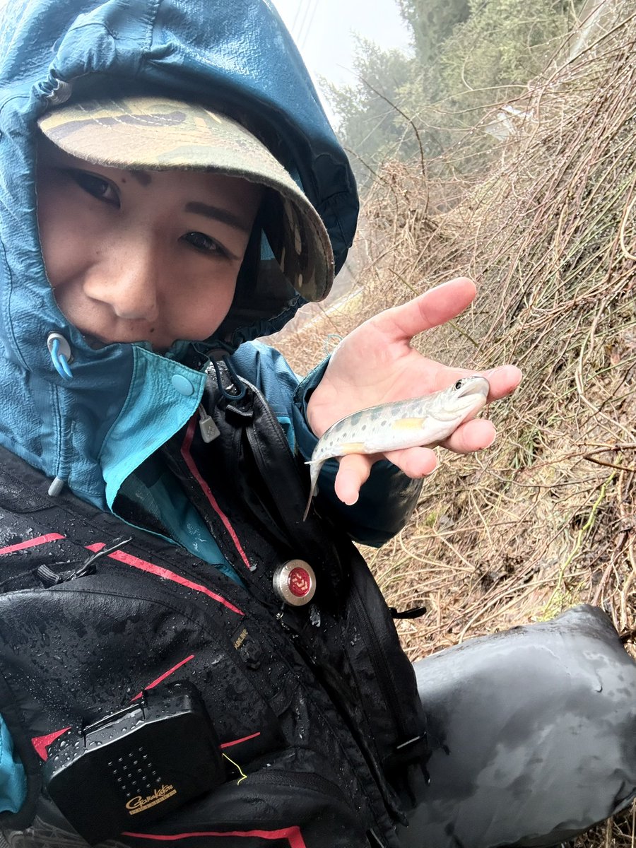 aymfish's tweet photo. そいえば，雨降りの中釣りしたんだった。

寒かった😭 https://t.co/GdbqUKk4nM