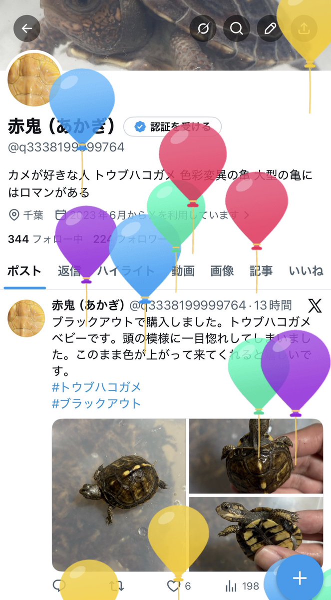 風船飛びました！
改めてこれからもよろしくお願いします🙇‍♂️