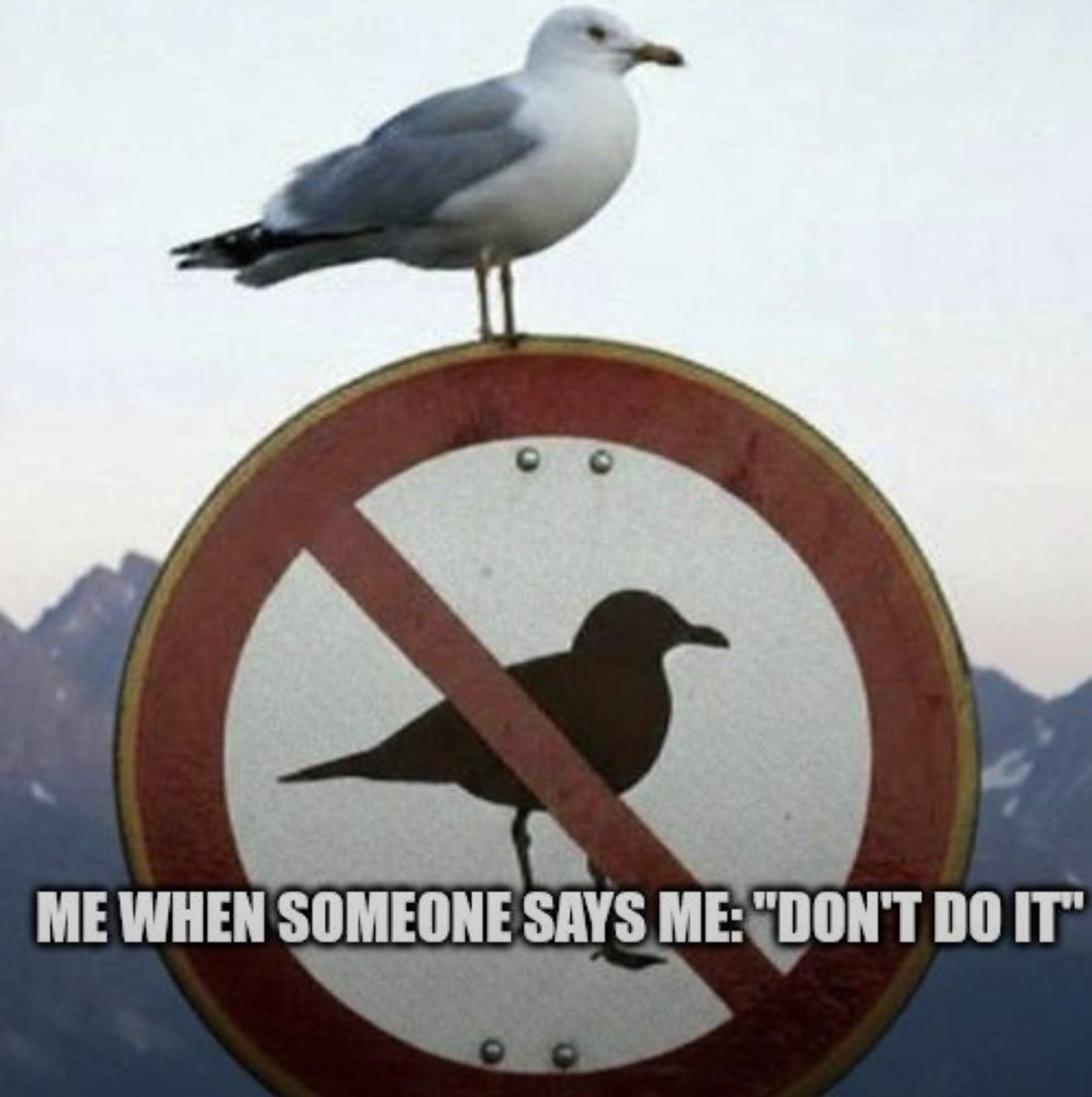 Dora💗💋 tweet media